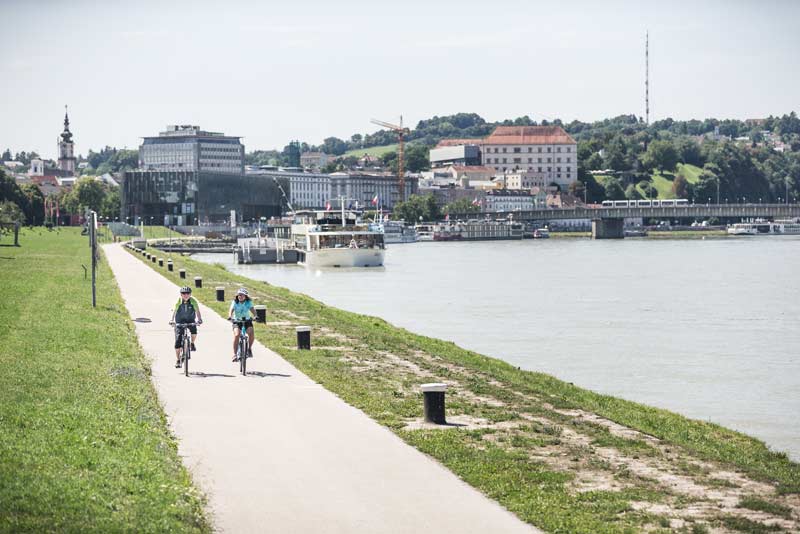 Radfahren am Donauradweg in Linz c OOe Tourismus GmbH MoritzAblinger